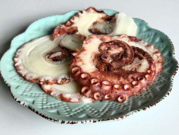 Slice de Pulpo del Norte